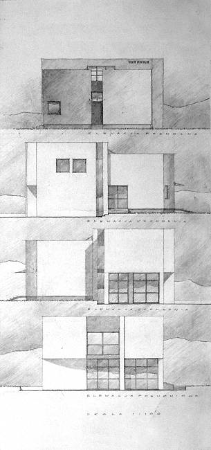 Elevations and section of a residential family house