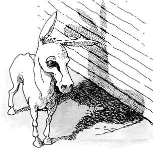 Sketch of the schizophrenic donkey