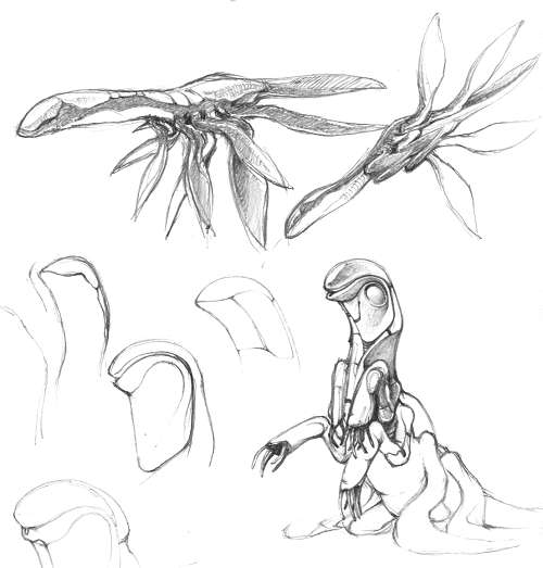 Sketches of an alien creature